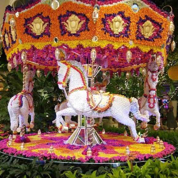 Meet your Posher, Norma - Picture 1 of 1